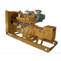 200-300kw Erdgasgenerator
